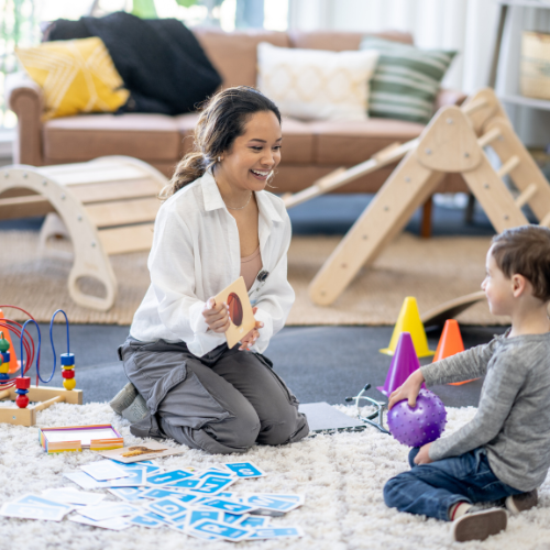 Professional behaviour support practitioner